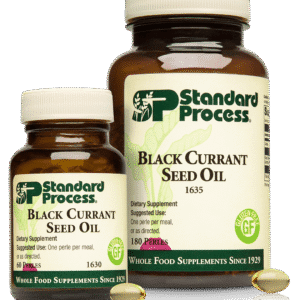 Black Currant Seed Oil 60 Perles