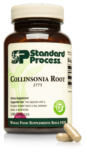 Collinsonia Root 150 Capsules - Back Ordered Until 3/12/25