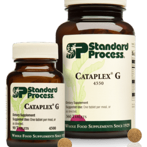 Cataplex B2 90 Tablets - Formerly Known as Cataplex G