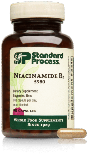 Niacinamide B6 90 Capsules