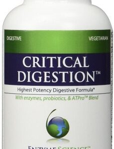 Critical Digestion - 90 Capsules