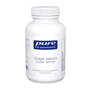 Ginger Extract 120 Capsules