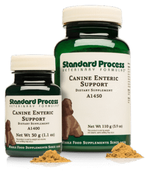 Canine Enteric Support 110g 3.9oz