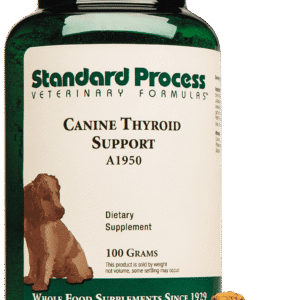 Canine Thyroid Support 25g 0.9oz