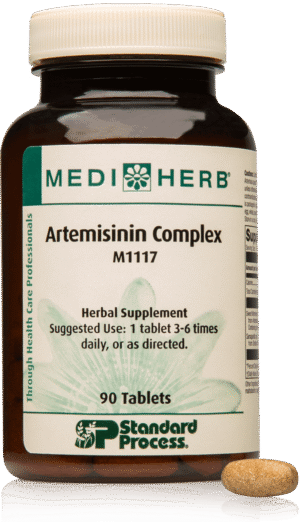 Artemisinin Forte 90 Tablets