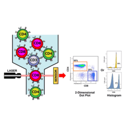 The Lymphocyte Map Test