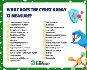 Cyrex Array #12 - Pathogen-Associated Immune Reactivity Screen (Includes Doctor's Consultation)