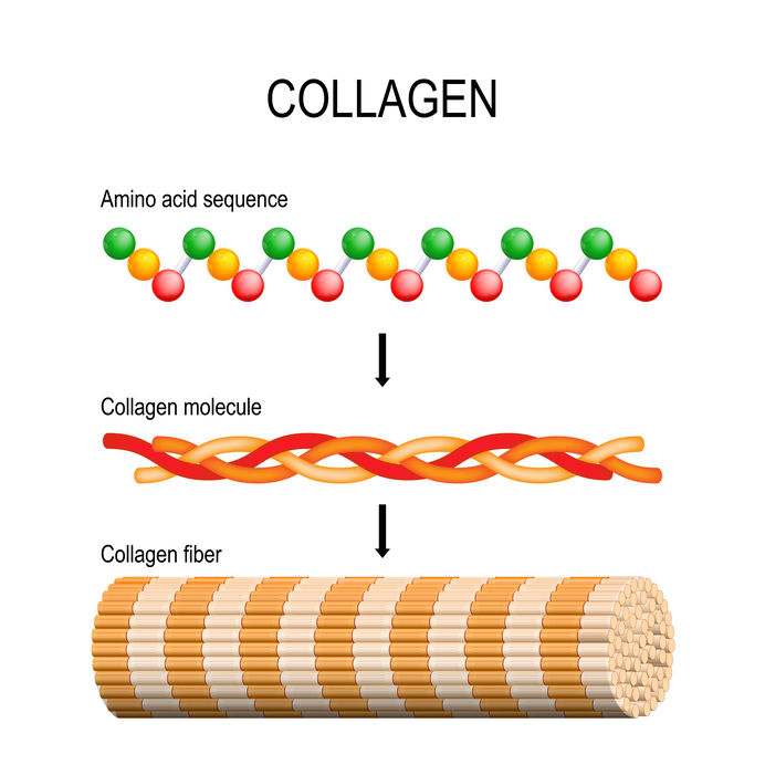 Hydrolyzed Collagen Protein from Biotics Research