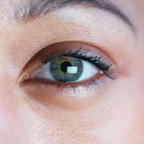 The Best Supplement for Eye Health