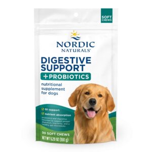 Pet Digestive Support Soft Chews - Bone Broth (30 Count)