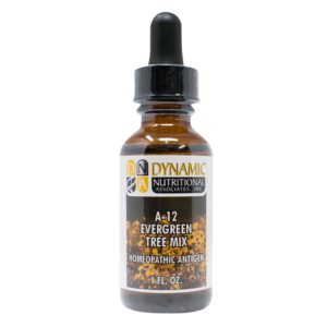 6112 A 12 Evergreen Tree Mix