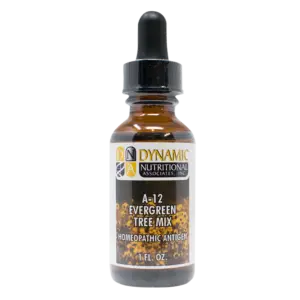 6112 A 12 Evergreen Tree Mix