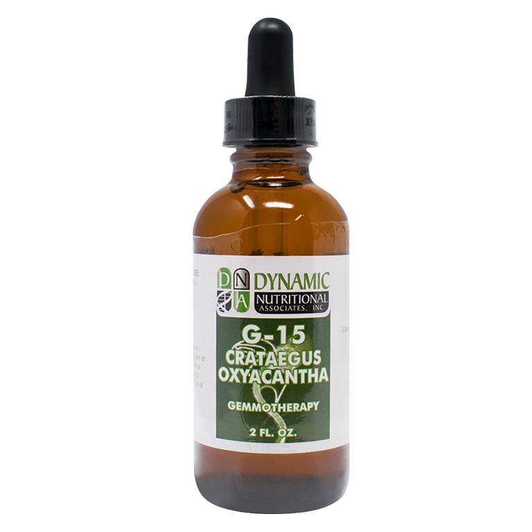 G 15 Crataegus Oxyacantha Hawthorne