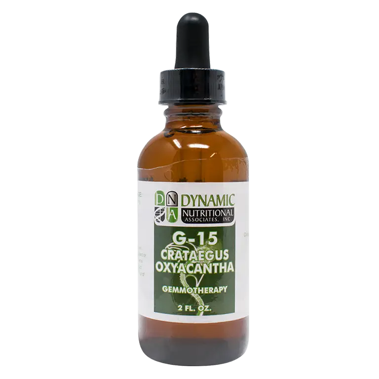 G 15 Crataegus Oxyacantha Hawthorne
