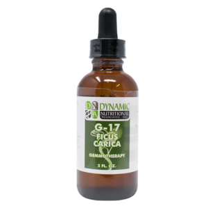 G 17 Ficus Carica Common Fig
