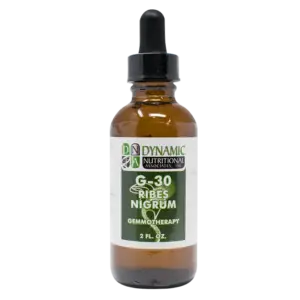 G 30 Ribes Nitrum Black Currant