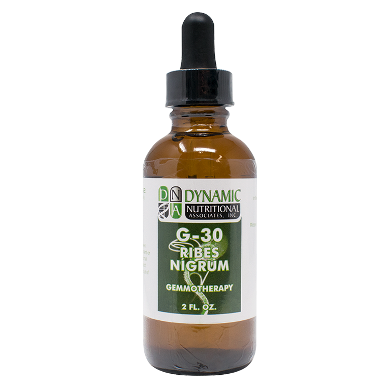 G 30 Ribes Nitrum Black Currant