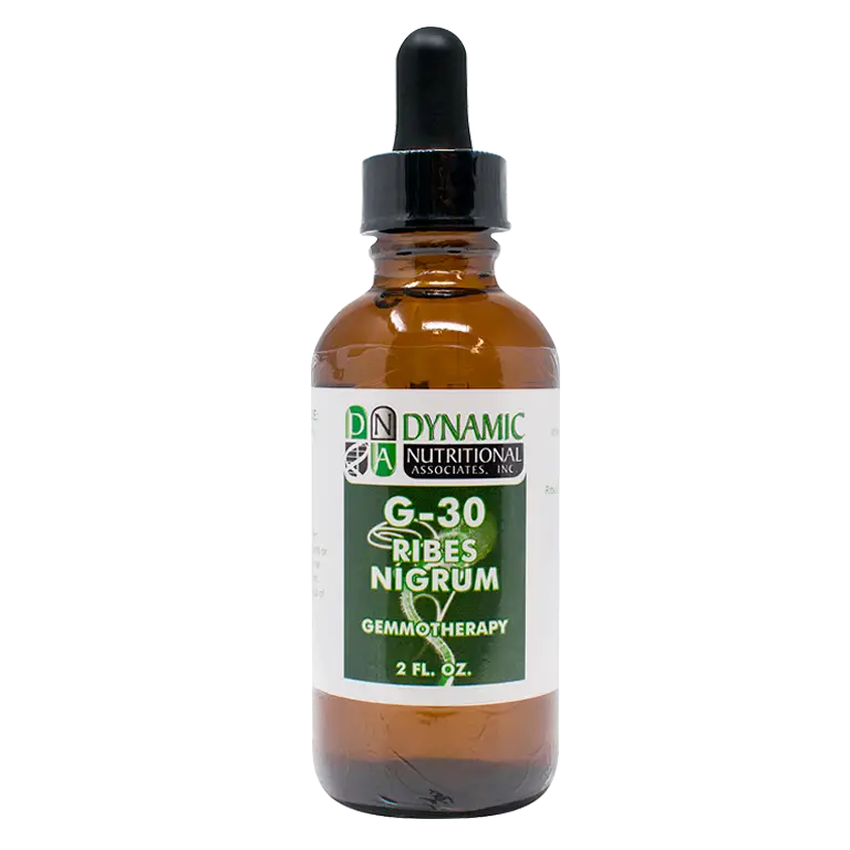 G 30 Ribes Nitrum Black Currant