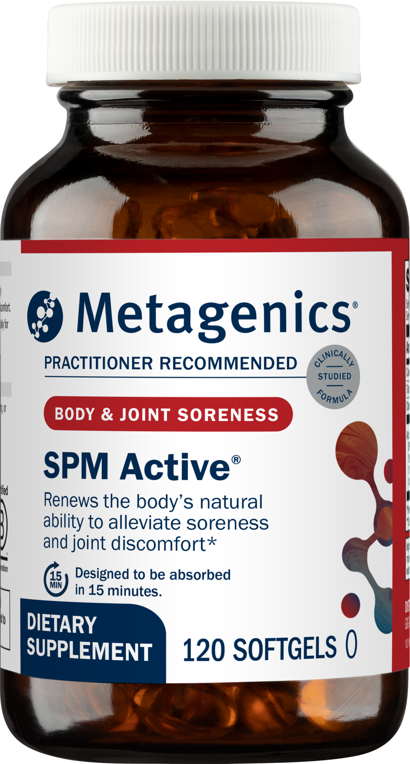 SPM Active 120SG LSP092E1 200cc SPMA120.png